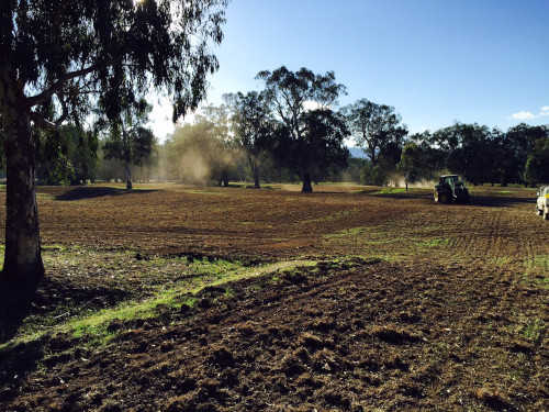 Preparing and sowing new pastures at Pulfords